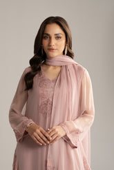 3 Piece Chiffon Embroidered Suit (FL0037)